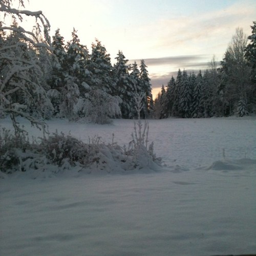 16174_10151150957036452_593527003_n