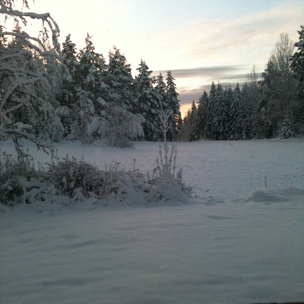 16174_10151150957036452_593527003_n