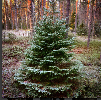 Skärmavbild 2014-11-10 kl. 19.38.09